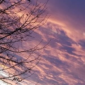 Meet your Posher, Ally